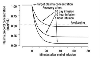 "image Description" (Figure 1)