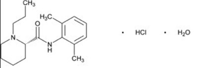 "image Description" (Structure 01)