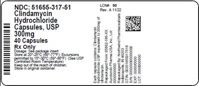 51655-317-51.jpg Label - 51655 317 51