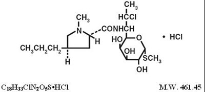 clindamycin-str.jpg Chemical Structure - clindamycin str