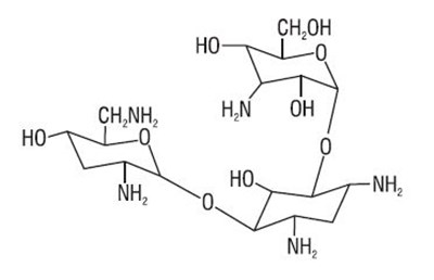 Structural Formula - Structure 01