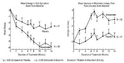 Figure1.jpg (Figure1)