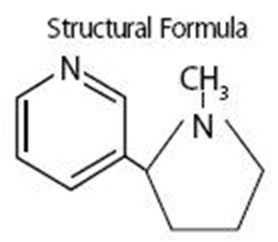 nicotrol-01.jpg Chemical Structure - nicotrol 01