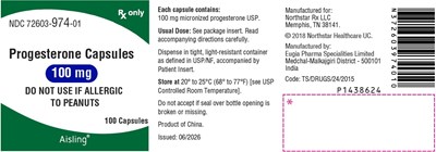 Package Label-principal Display Panel (100 mg (100 Capsules Bottle))