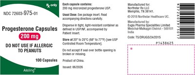 Package Label-principal Display Panel (200 mg (100 Capsules Bottle))