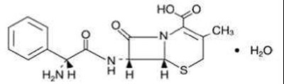 cephalexin-str.jpg structure - cephalexin str