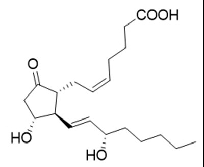 Cervidil 03