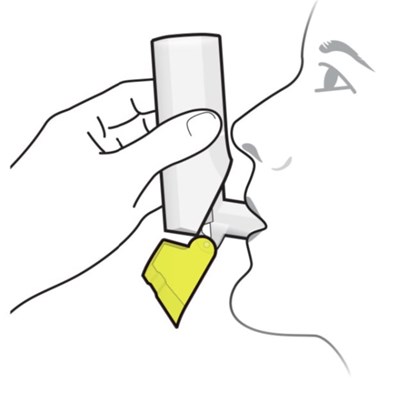 Figure F - fluticasone propionate salmeterol inhalation powde 18