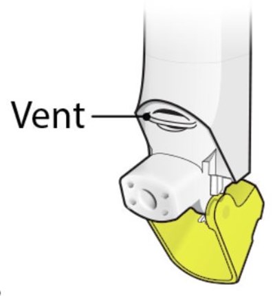 Figure G - fluticasone propionate salmeterol inhalation powde 19