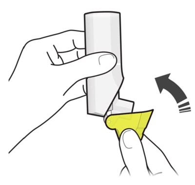 Figure H - fluticasone propionate salmeterol inhalation powde 20