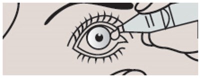 Image (Biolle 02)