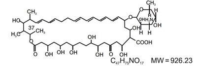 Structure-nyst (Structure Nyst)