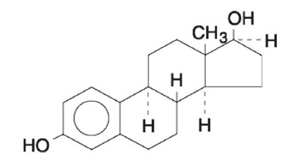 1 (Dotti Estradiol Transdermal System 1)