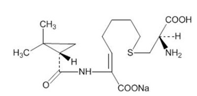 Chemical Structure - primaxin iv 02