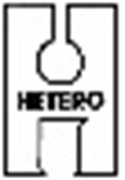 Hetero1 (Hetero1)