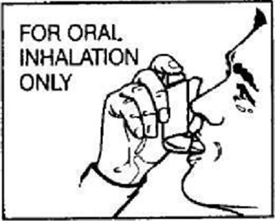 Figure 2 - pro03 0006 04