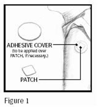 Figure 1 (F4ac82b0 D0fb 4720 A277 5b2b8013cb3f 03)