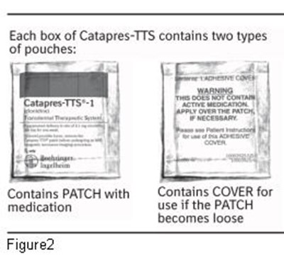 Figure 2 (F4ac82b0 D0fb 4720 A277 5b2b8013cb3f 04)