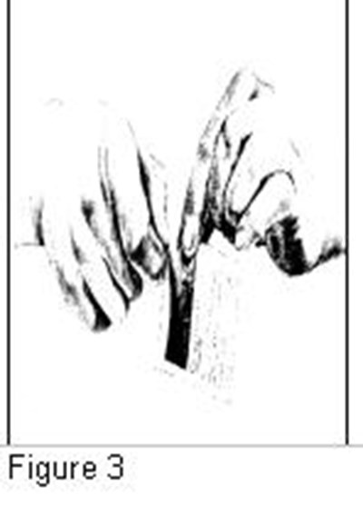 Figure 3 (F4ac82b0 D0fb 4720 A277 5b2b8013cb3f 05)