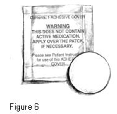 Figure 6 (F4ac82b0 D0fb 4720 A277 5b2b8013cb3f 08)