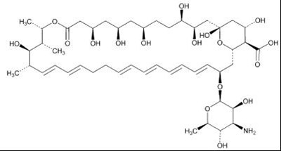 Image - 4e263967 26e9 4757 a23e 657303ed469d 01