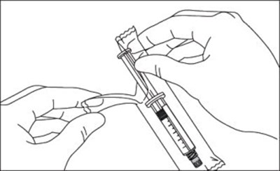 Figure 2 (Suc09 0005 02)