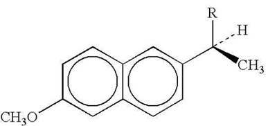 Label Graphic-Naproxen 500mg - image 01