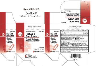 5391firstaidburn19.jpg (5391firstaidburn19)