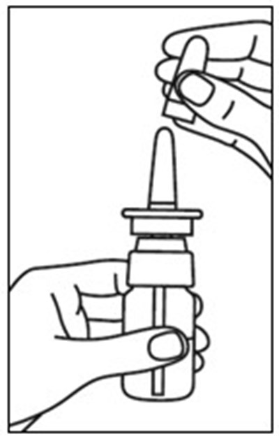Figure B (Stimate 3)