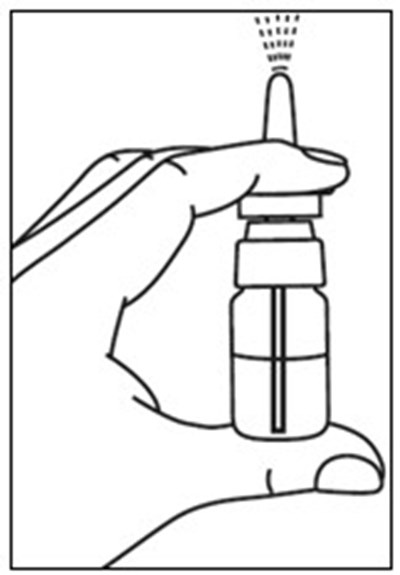 Figure C (Stimate 4)