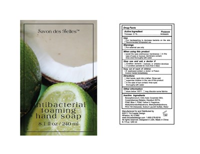 Image Of Package Label (Antibacgreen)