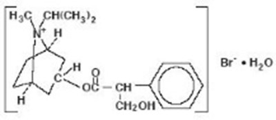 ipratropium-01.jpg Chemical Structure - ipratropium 01