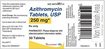 abb76e1d-a0c6-407b-b70c-1d5da87f4902-02.jpg Label - 30T 250 mg - abb76e1d a0c6 407b b70c 1d5da87f4902 02