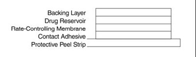 Patch Cross Section (333209a7 2bdb 4d82 B0b0 C258c415715e 02)