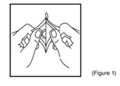 Figure 1 (333209a7 2bdb 4d82 B0b0 C258c415715e 03)