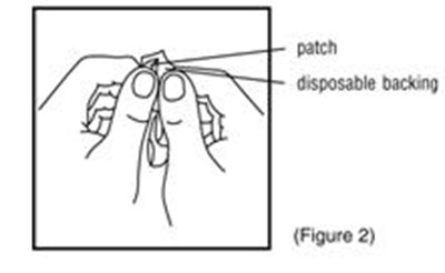 Figure 2 (333209a7 2bdb 4d82 B0b0 C258c415715e 04)