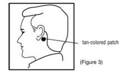 Figure 3 (333209a7 2bdb 4d82 B0b0 C258c415715e 05)