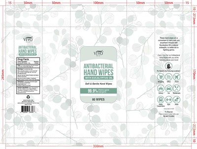 image description - Antibacterial Hand Wipes Eucalyptus