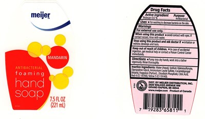 meijer2.jpg IMAGE OF ANTIBACTERIAL - meijer2