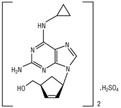 Abacavir Sulfate Structural Formula (Image 02)