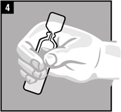Image (Figure 06)