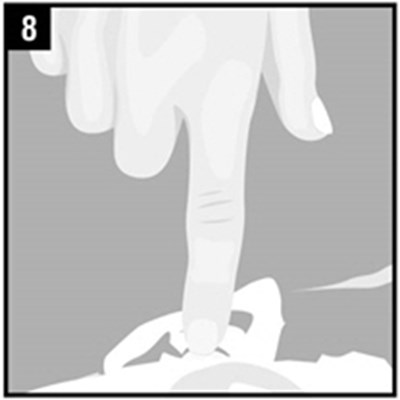 Image (Figure 10)