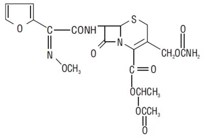 8e3adc3a 0524 4a76 b426 8a39e8ef43b5 01
