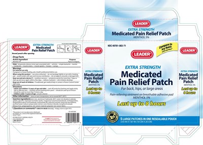 leader_medicated_painpatch2.jpg image description - leader medicated painpatch2