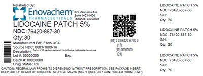 Label (Lidocaine Patch 3)