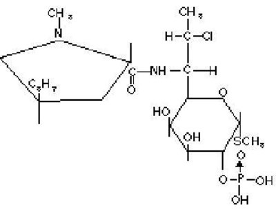 Clindagel-01 (Image 01)
