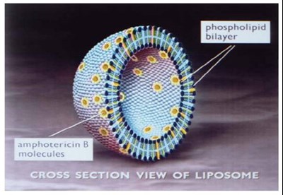 image-01.jpg description - image 01