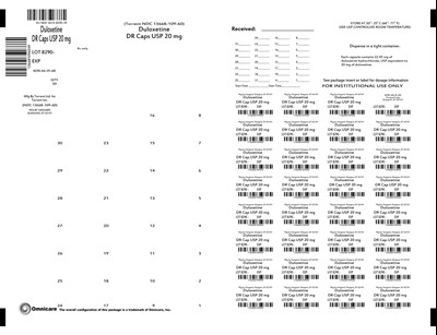 Principal Display Panel Duloxetine DR Caps 20 mg - duloxetine dr caps usp 11