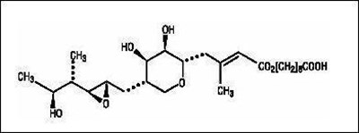 MODULE.jpg image description - MODULE