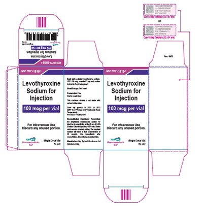 100 Mcg Carton Label (58d487b9 D60d 4b2b B9ca 5ee151707c15 01)